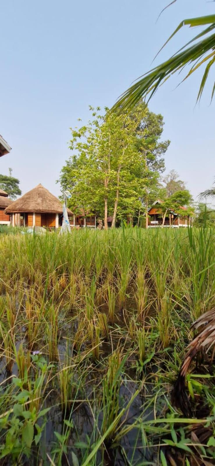 Bolaven Garden Bungalow And Tent - Tad Lo Ban Kiangtat المظهر الخارجي الصورة