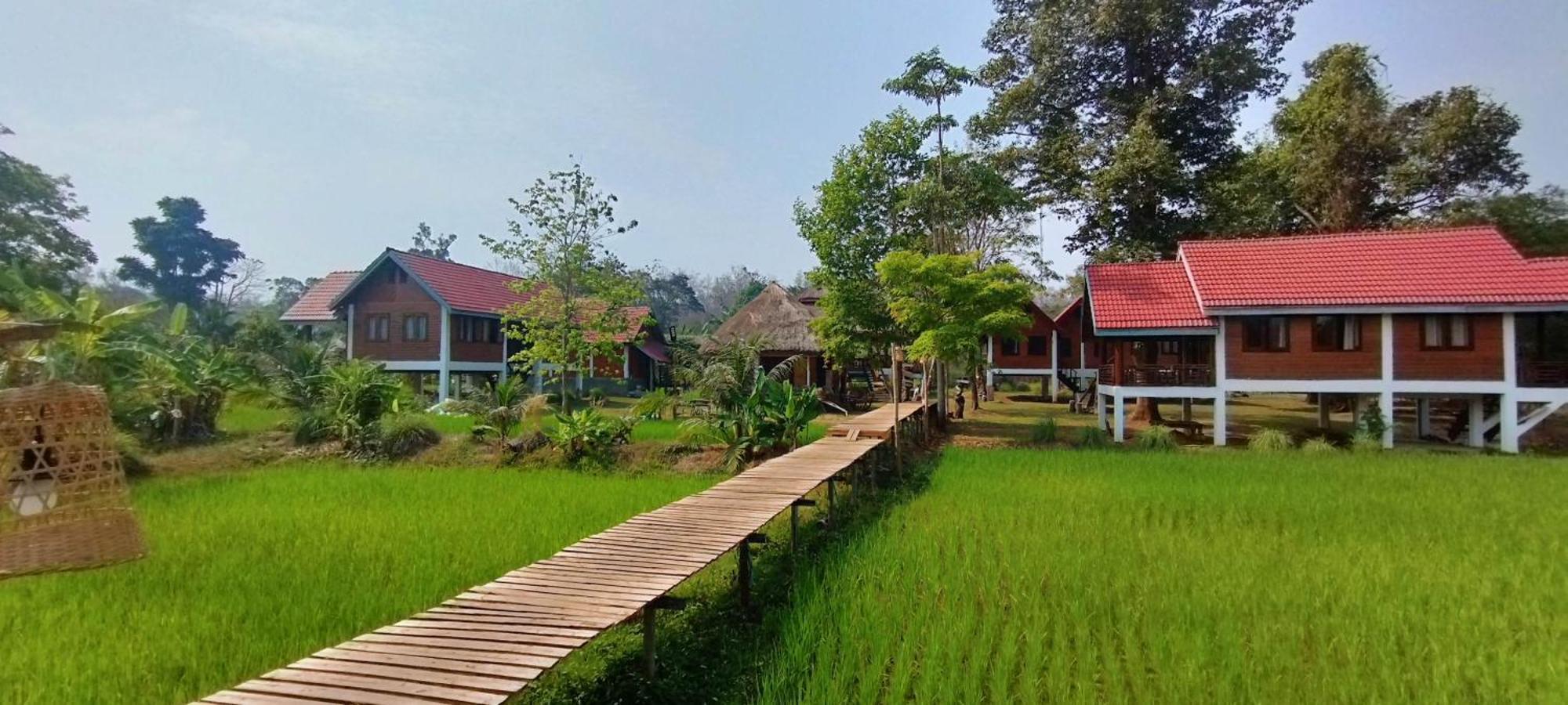 Bolaven Garden Bungalow And Tent - Tad Lo Ban Kiangtat المظهر الخارجي الصورة