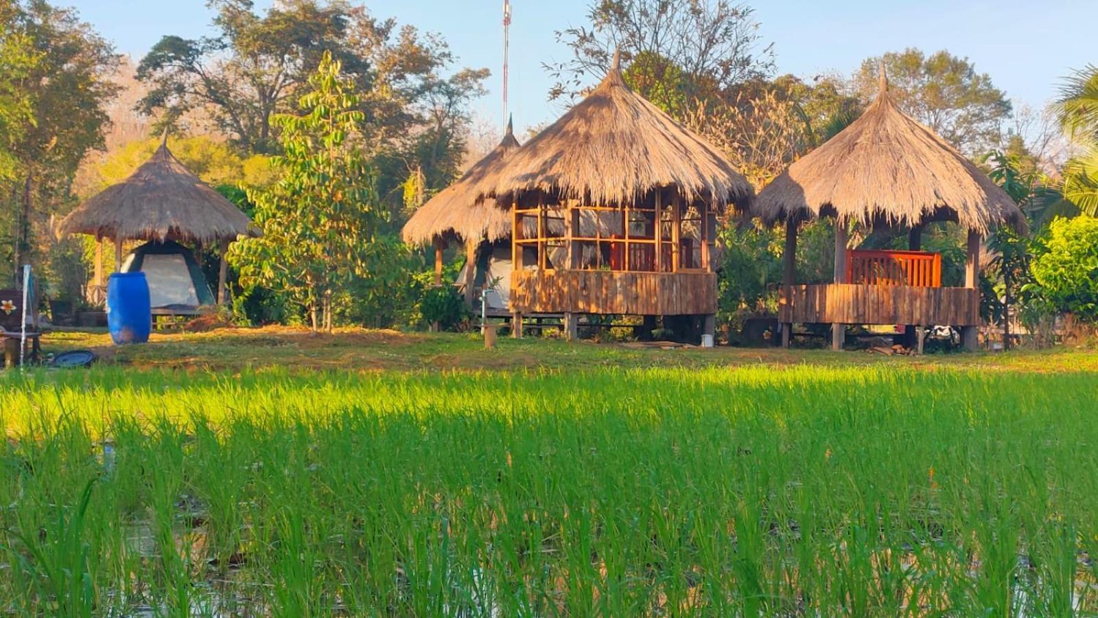 Bolaven Garden Bungalow And Tent - Tad Lo Ban Kiangtat المظهر الخارجي الصورة